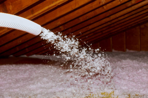 Best Specialized Insulation Services in Dewitt, MI