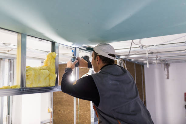 Best Energy Efficiency Insulation in Dewitt, MI