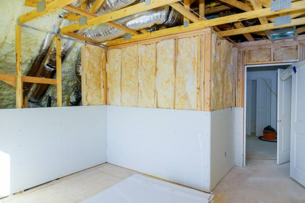 Best Residential Insulation in Dewitt, MI