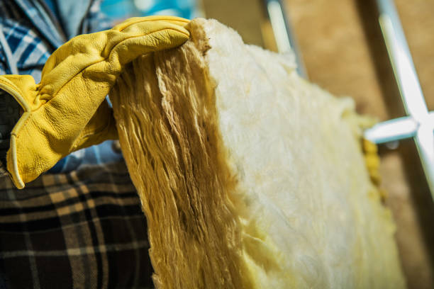 Best Blown-in Insulation in Dewitt, MI