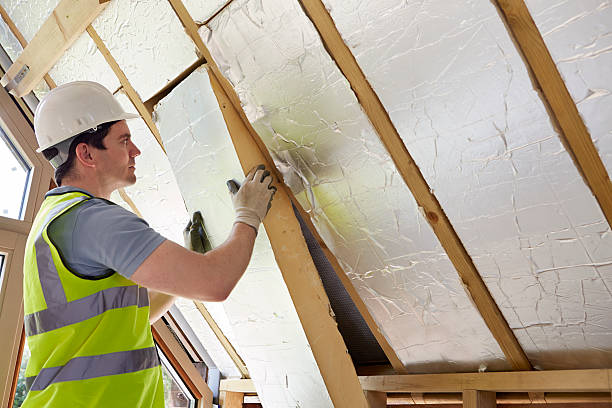 Best Eco-Friendly Insulation in Dewitt, MI