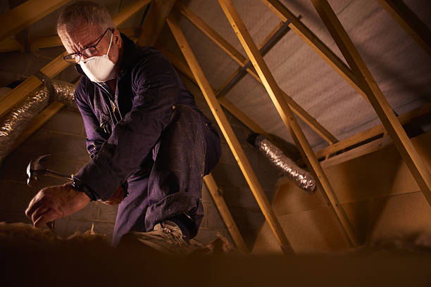 Best Commercial Insulation in Dewitt, MI