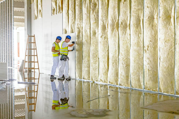 Best Insulation Maintenance and Repair in Dewitt, MI